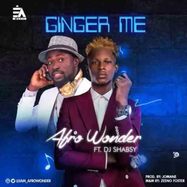 Afro Wonder - Ginger Me Ft. DJ Shabsy